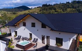 Vila Victoria Moldovița